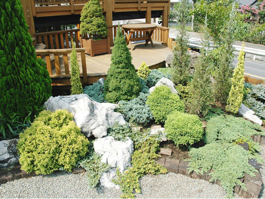 コーラルインテリアガーデン